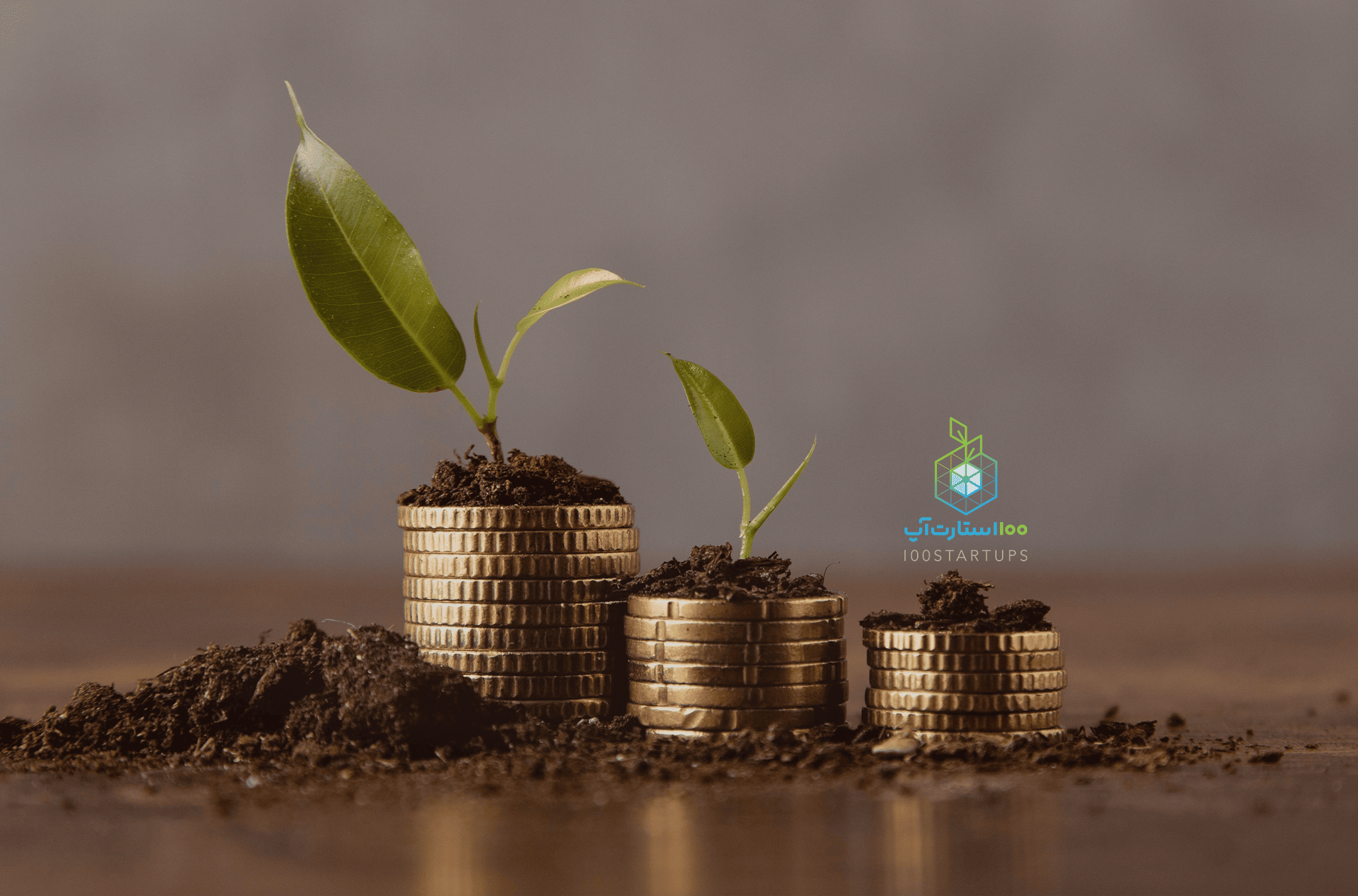 تعیین معیار شاخص‌های مالی استارت‌آپ‌ها چه اهمیتی دارد؟
