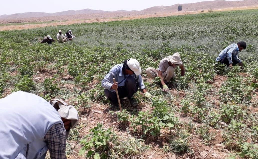 راهکار نوآوری برای جبران عقب‌ماندگی