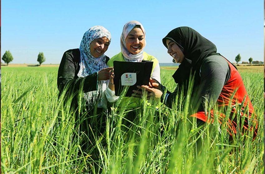 راه‌اندازی ۶ مرکز نوآوری و توسعه روستایی و عشایری